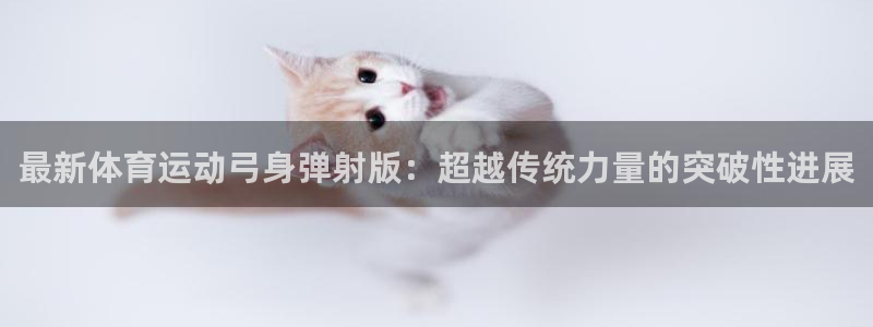 下载风速体育
