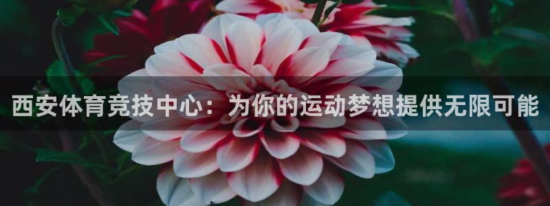 风速体育app