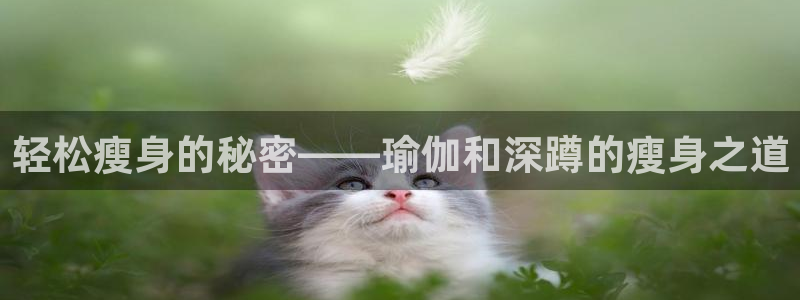 风速体育直播：轻松瘦身的秘密——瑜伽和深蹲的瘦身之道