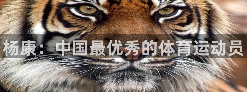 下载风速体育：杨康：中国最优秀的体育运动员