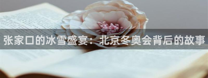 风速体育官网