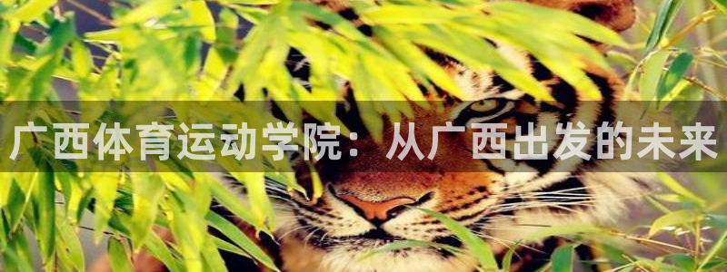 风速体育app官方下载：广西体育运动学院：从广西出发的未来