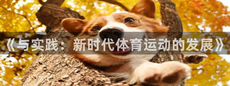 风速体育下载