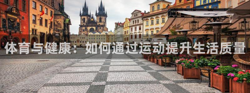 风速体育官网：体育与健康：如何通过运动提升生活质量