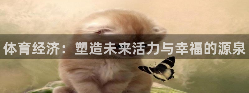 风速体育cba直播：体育经济：塑造未来活力与幸福的源泉