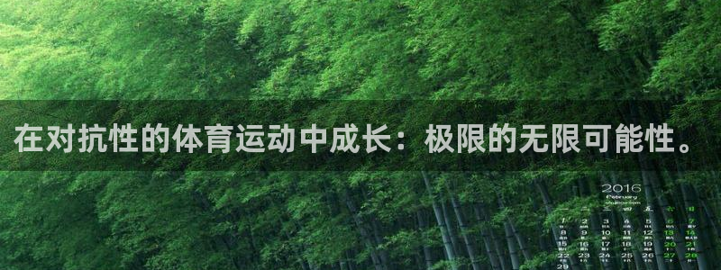 风速体育：在对抗性的体育运动中成长：极限的无限可能性。