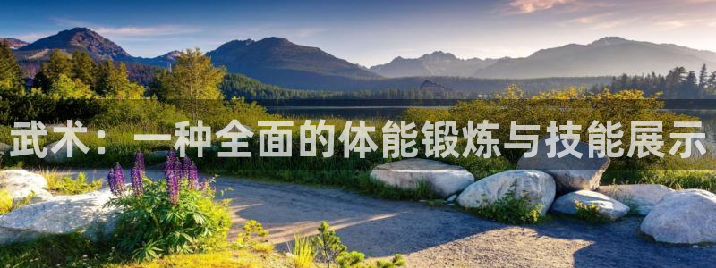 风速体育官网