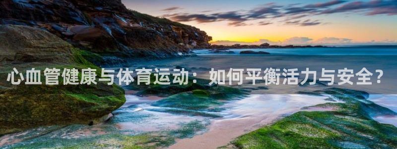 风速体育官网