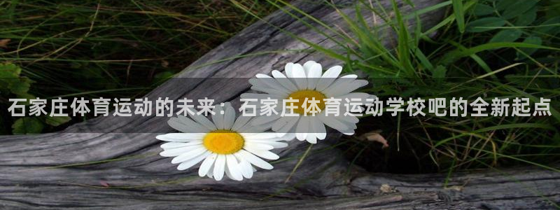 风速体育下载：石家庄体育运动的未来：石家庄体育运动学校吧的全新起点
