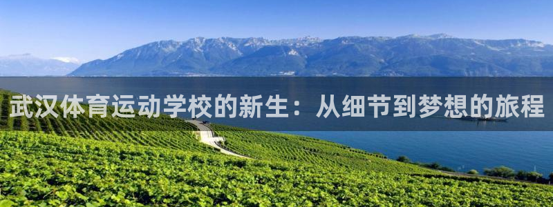 风速体育下载：武汉体育运动学校的新生：从细节到梦想的旅程